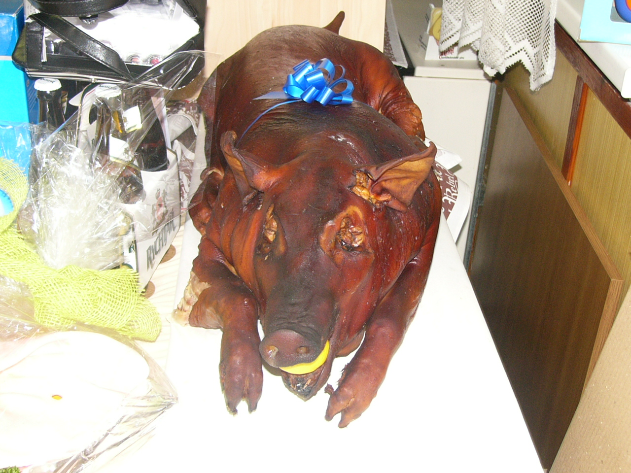 Hasičský ples a karneval 2010 003.jpg