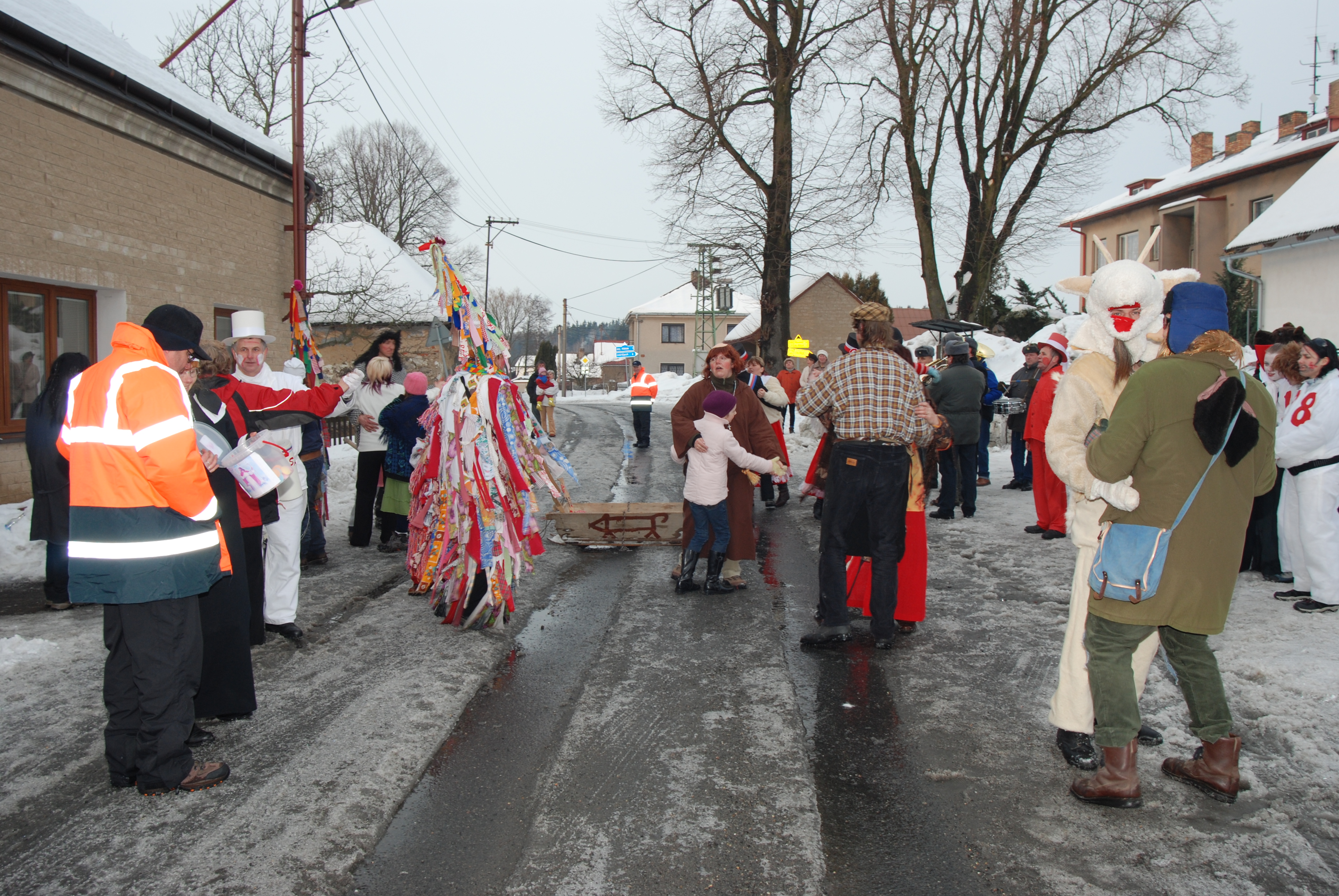 Maškarní průvod 2010 175.jpg